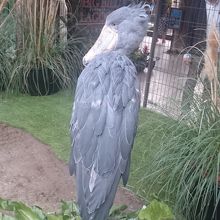 期間限定公開です