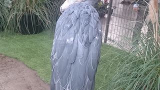 珍しい動物と触れあえる