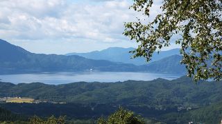 白樺林からの田沢湖眺望