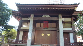 見ごたえのある時期になりつつあります