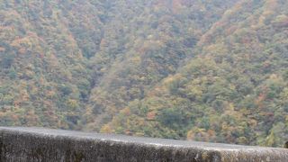 奥多摩の紅葉が見頃です