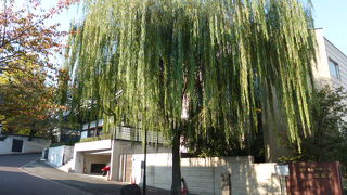 見ごたえのある季節です