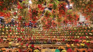 想像以上の感動！