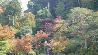 花の季節にも来たい浄瑠璃寺