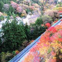 近くの高台から旅館を眺める