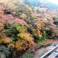 部屋の窓から見下ろす四万川