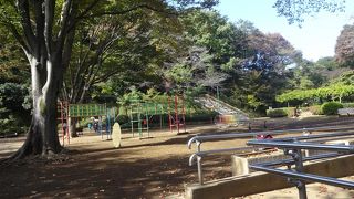 この公園の近くの方は幸せ、と思った。