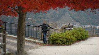 今の季節にもってこい！の素敵な紅葉！帰り道にも広島県の“天然記念物”を発見！！