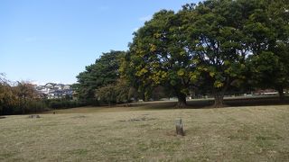 遙かな時が流れて。