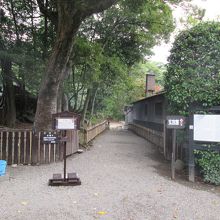 こちらが入口です