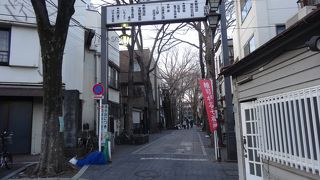 レトロな雰囲気の並木道