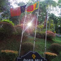 入口前に掲げられていた国旗