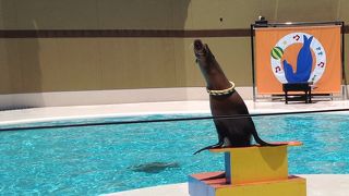 新しくなって初めて行ってみました。