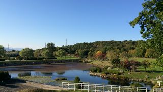 砂川ハイウェイオアシスの裏