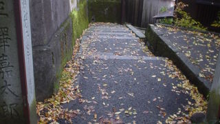 華やかな歴史伝える