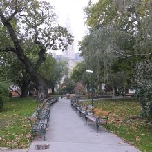 市庁舎公園の風景です