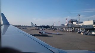 大きすぎて迷う