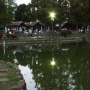 池は釣り人の社交場