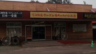 ついつい購入。