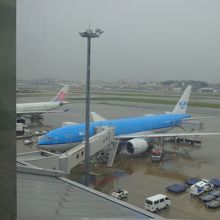 これに乗りました