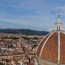 頂上から撮影。やはり一つ下の階層からの方がアングルが良い。