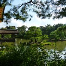 金閣の背面&広大な池&庭！この辺りは皆素道りですね！