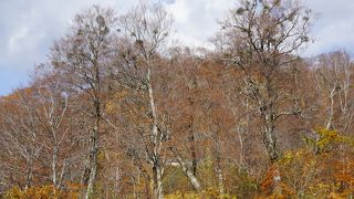 こちらは見上げるような景色