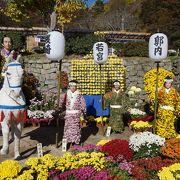 周囲の紅葉とのコラボもとてもいいと思います