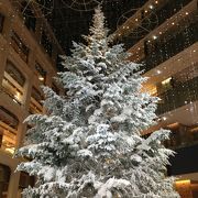 キッテの巨大クリスマスツリー