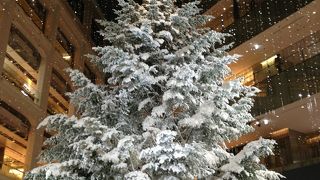 キッテの巨大クリスマスツリー