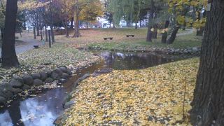 晩秋の風情が素敵でした