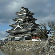 入り口で出迎える雄姿