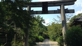 水を汲む人で賑わっています