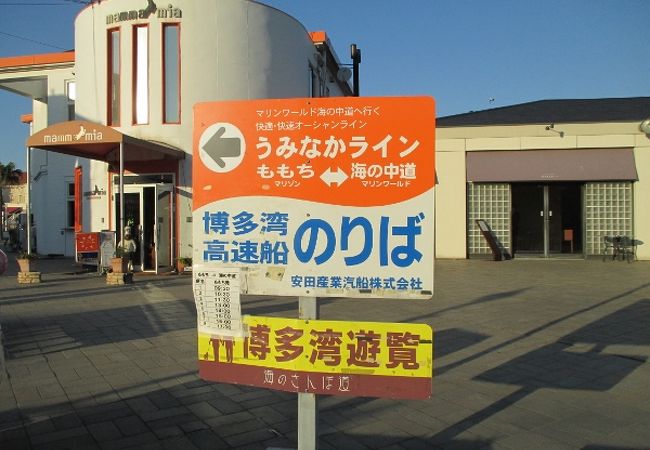 うみなかライン　海ノ中道へ