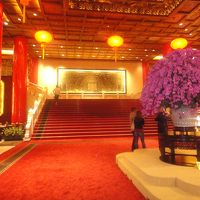 ロビーの胡蝶蘭