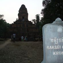 周りの木々に埋もれてます