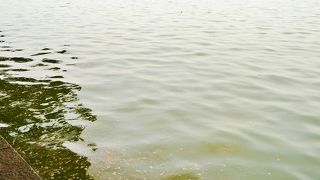 湖自体は特別風光明媚というわけではない。