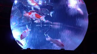 二条城（アートアクアリウム城～京都・金魚の舞～）2014年10月24日～12月14日