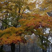 公園の中央部を渓流