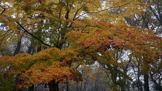 公園の中央部を渓流