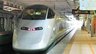 つばさに乗りました