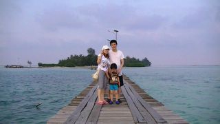 まるで水族館にいるようなダイビングができます。