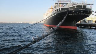 ほんとうにカモメの水兵さんが氷川丸に