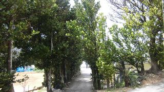 静かな癒しの空間