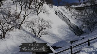 知床観光の入口