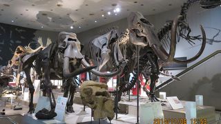 とにかく広い！