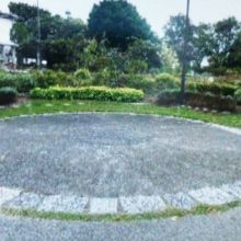 バラがたくさんの公園