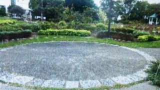 バラの名前が書いてありました