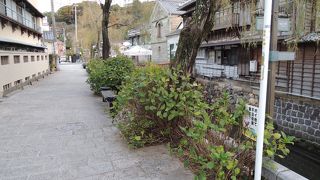 柳並木と石畳が美しい