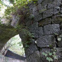 実際に触れてみましょう